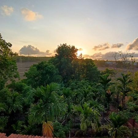 Kamanabillu Homestay, For Jog Falls Travellers Siddapur المظهر الخارجي الصورة