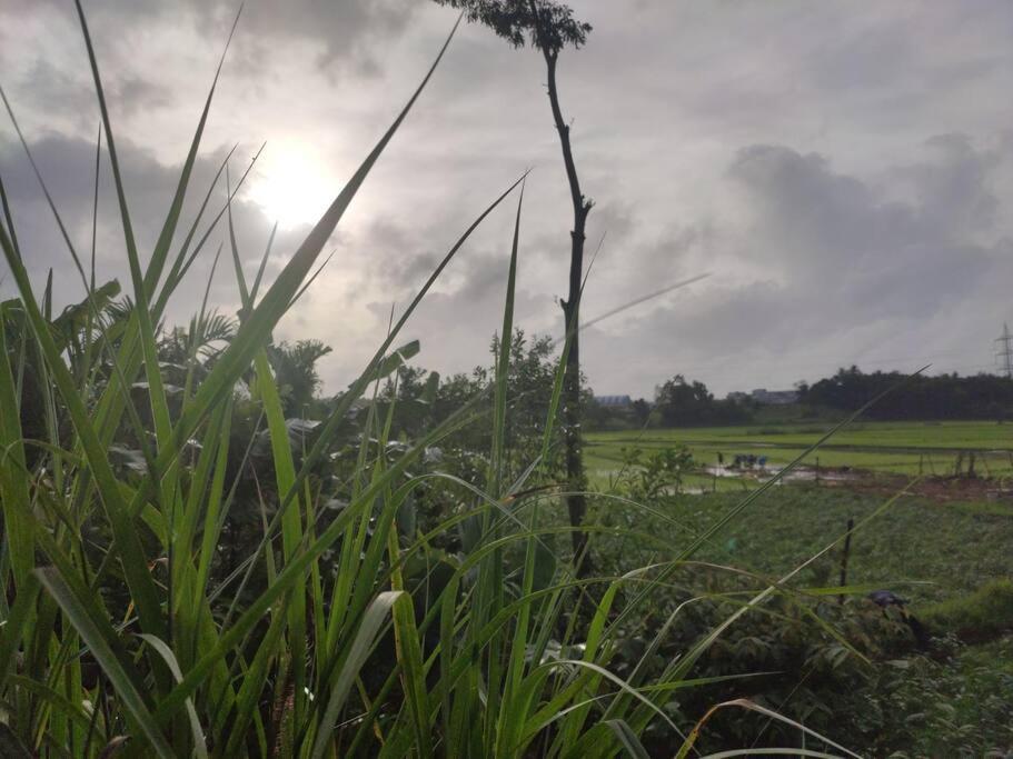 Kamanabillu Homestay, For Jog Falls Travellers Siddapur المظهر الخارجي الصورة