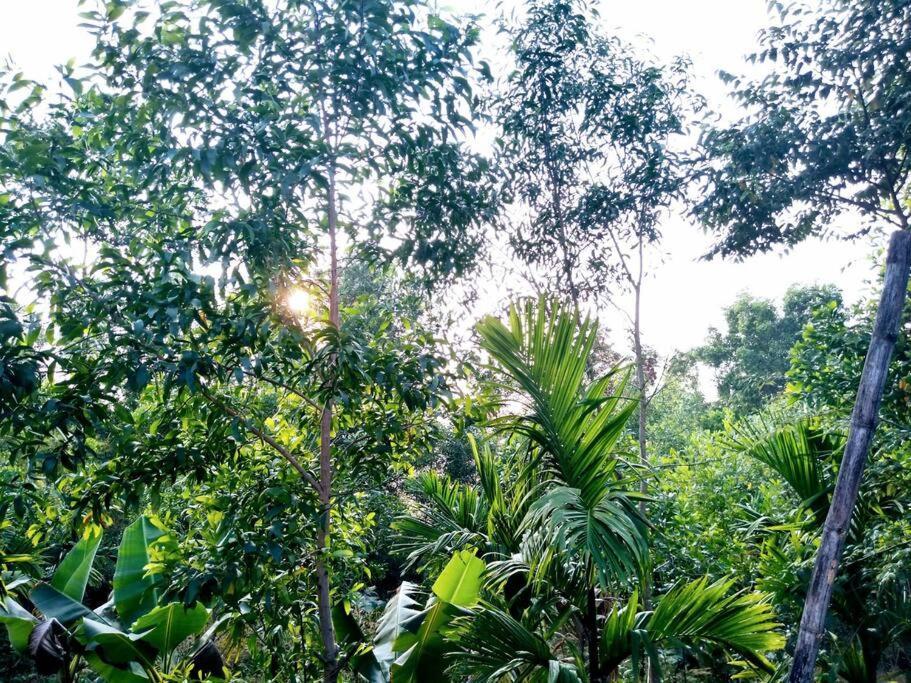 Kamanabillu Homestay, For Jog Falls Travellers Siddapur المظهر الخارجي الصورة
