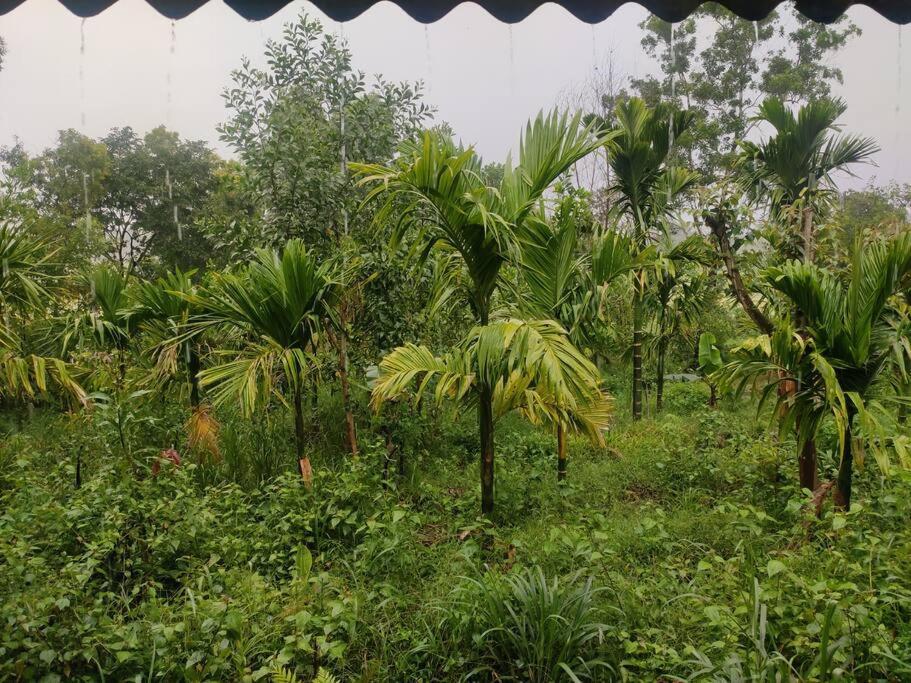 Kamanabillu Homestay, For Jog Falls Travellers Siddapur المظهر الخارجي الصورة